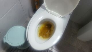 Diarrhea toilet - video 20, ScatKings.com Scat Porn 10 ScatKings.com Scat Porn