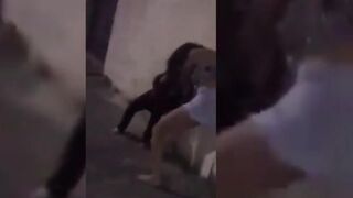 Girl Shit diarrhea in her pants while figth, ScatKings.com Scat Porn 2 ScatKings.com Scat Porn
